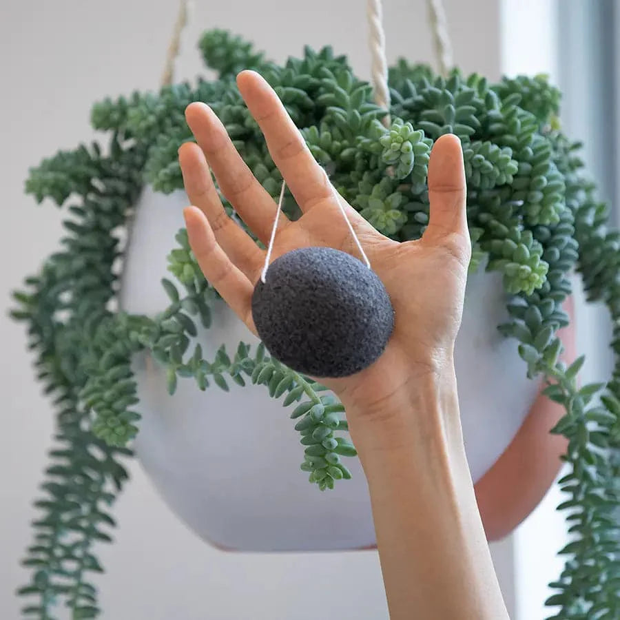 Spugna Konjac al Carbone di Bambù – Detergente Viso Naturale e Biodegradabile-3