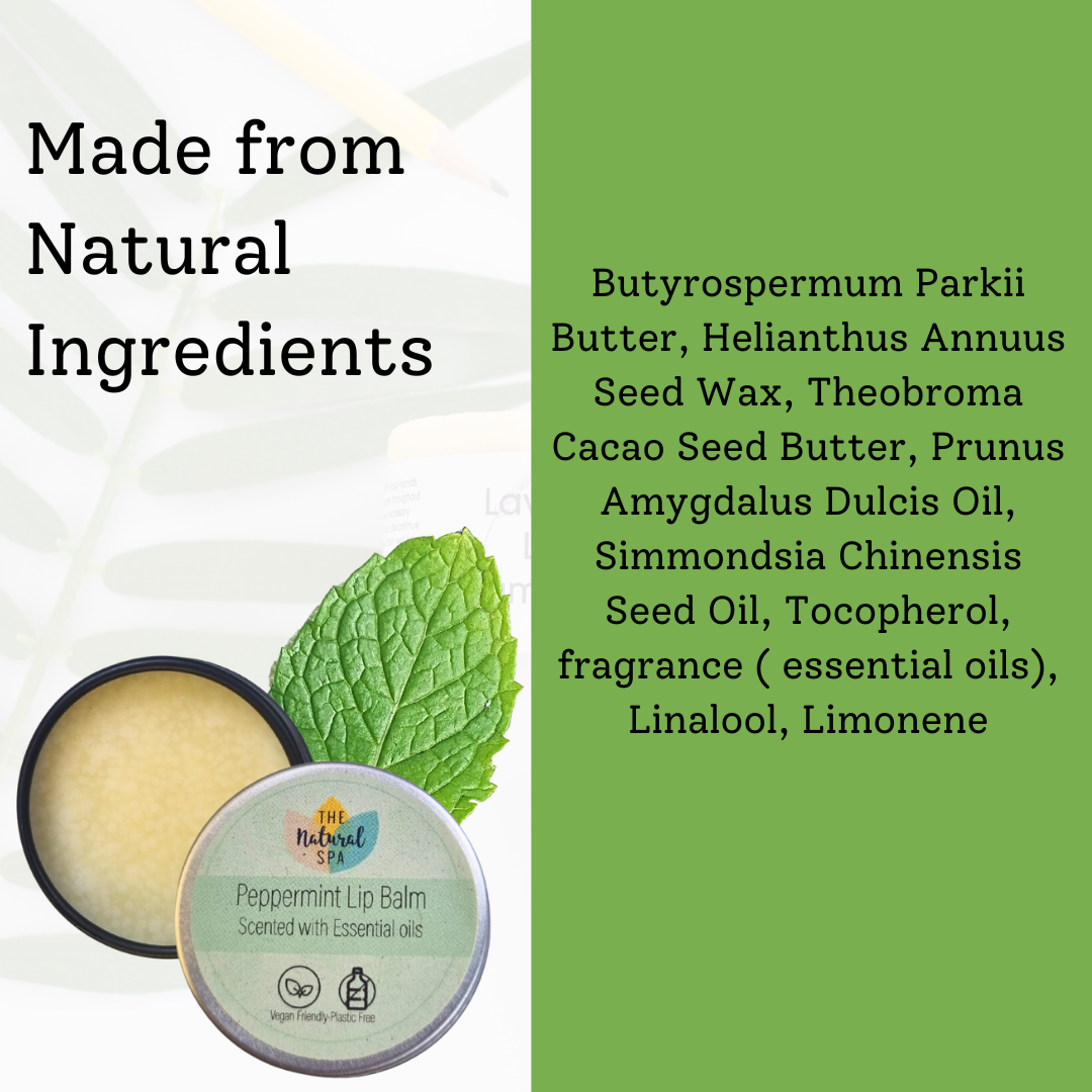 Burrocacao Naturale alla Menta – Vegan & Plastic-Free | The Natural Spa-4